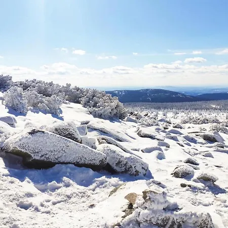 Lovely In Apartment *